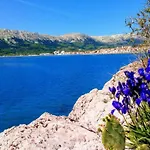Дом отдыха Lavender